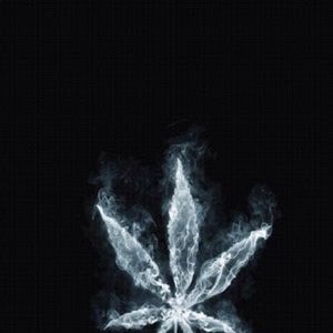 Meet your Posher, Mak